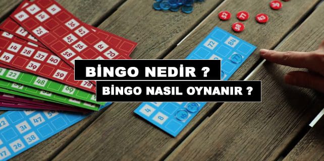 Bingo Nedir ?